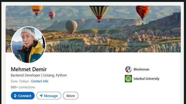 Mehmet Demir suspected fake DPRK LinkedIn profile backend developer Blocknovas
